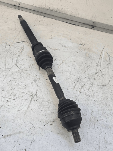 36000562 semialbero ant - semialbero,